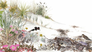 Sand Dune and Plovers – Cape Arid Artwork
